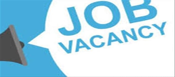 🏦 Bumper Recruitment at Union Bank: 1,865 Vacancies Announced